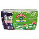 Yogurt Magro al Mirtillo in Pezzi, 2x125 g